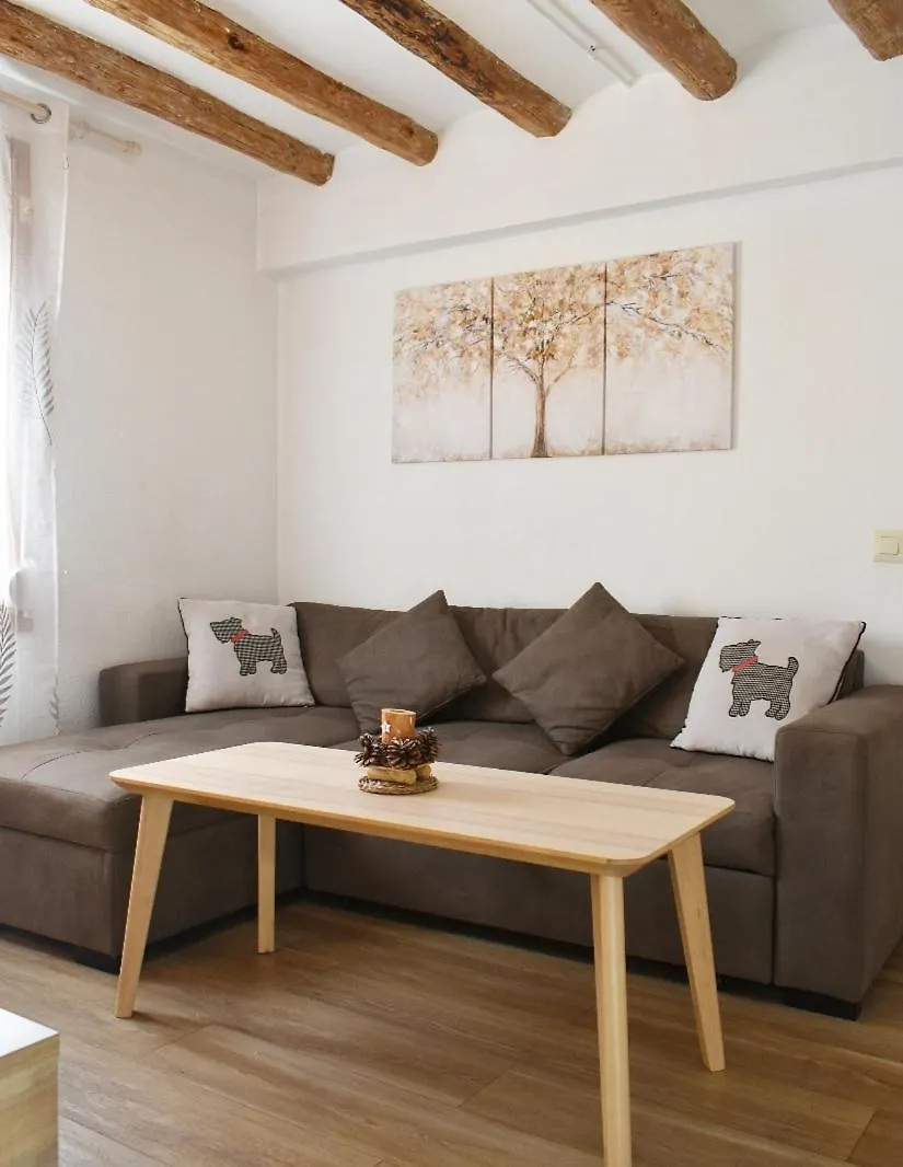 Apartament Turístic Campdevànol España